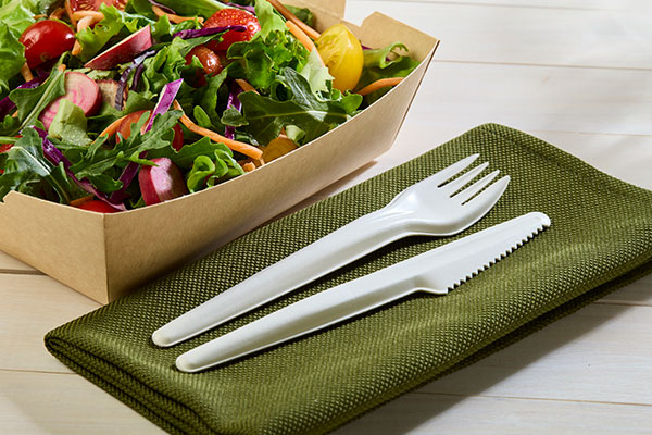 EcoSnap Utensils