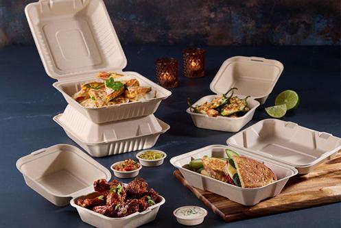 Pulp Hinged Containers