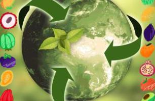 Elevating Sustainability Through Smart Packaging Choices