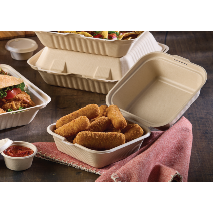 Pulp 6" x 6" Hinged Container