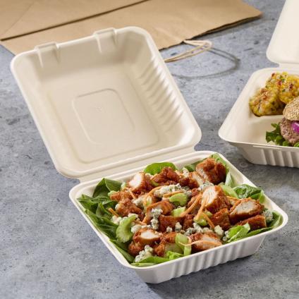 Pulp 8" x 8" Hinged Container