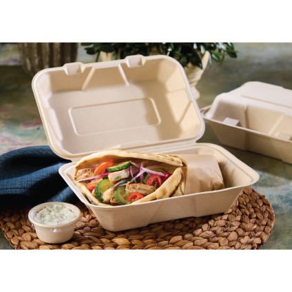 Pulp 6" x 9" Hinged Container