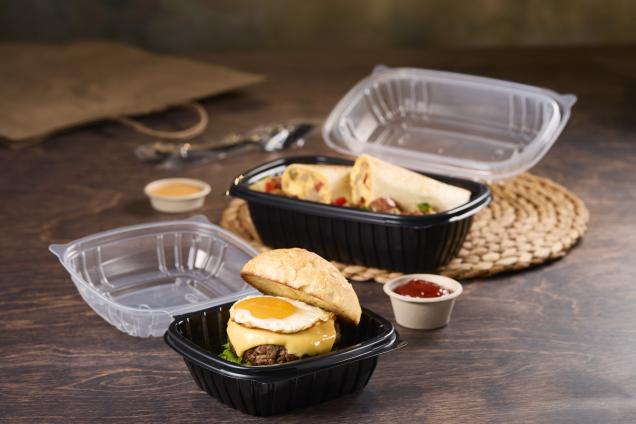Classic Dual Color 6 x 6 Square Hinged Container
