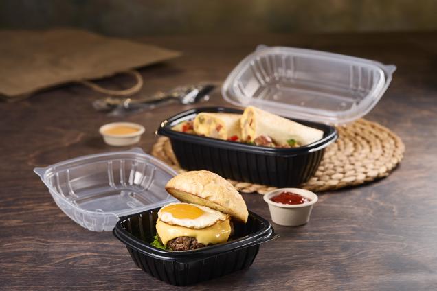 Classic Dual Color 6 x 6 Square Hinged Container