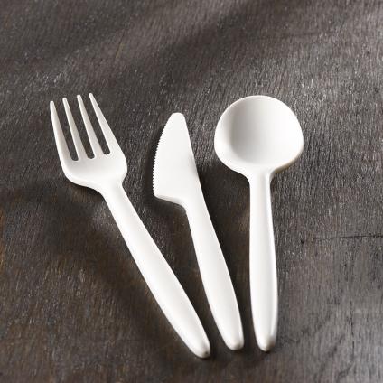 White Compostable Spoon