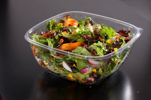 Clear 48 oz. Large Square Bowl 