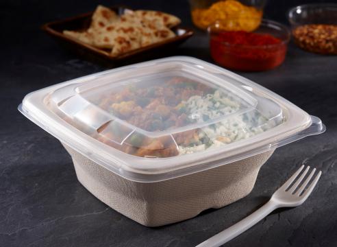 Pulp Tek Rectangle Clear Plastic Flat Lid - Fits 24 and 32 oz Bagasse  Container - 100 count box