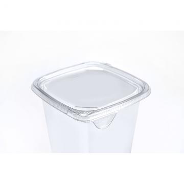 https://sabert.com/sites/default/files/styles/product_main/public/TR-lid-for-4-inch-square-tubs-51402TR1000.jpg?itok=A-BvNV4g