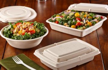 Pulp 24 oz. Two-Compartment Rectangle Container (16-8 oz Pulp 24 oz. Two-Compartment Rectangle Container (16-8 oz