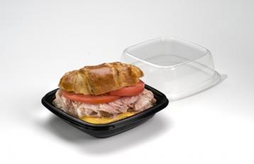 Pulp Large Sandwich Container