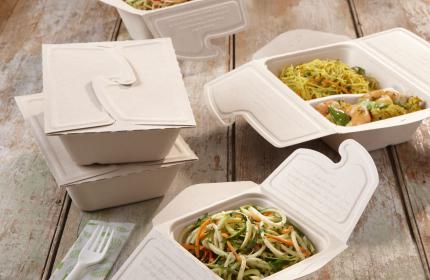 Pulp 16 oz. Folding Carton