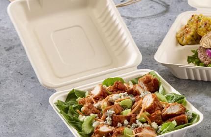 Pulp 8" x 8" Hinged Container