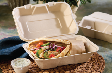 Pulp 6" x 9" Hinged Container