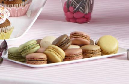 White PP 5.9" x 9.5" Mozaïk® Rectangle Platter with Clear High Dome Lid