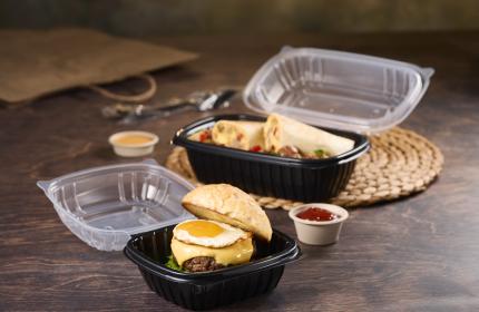 Classic Dual Color 6 x 6 Square Hinged Container