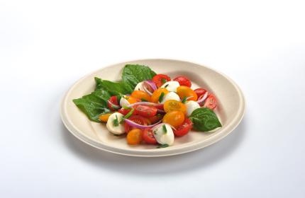Pulp Plus® 9" Round Plate