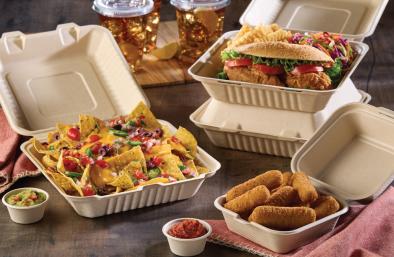 Hinged Pulp Containers