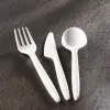 Wrapped White Compostable Spoon