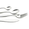 Silver Look Spoon